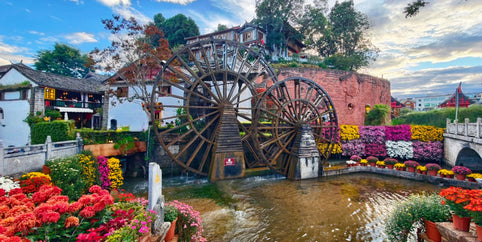 A Love Letter Written in Flowers, Rivers and Wind