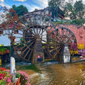 A Love Letter Written in Flowers, Rivers and Wind