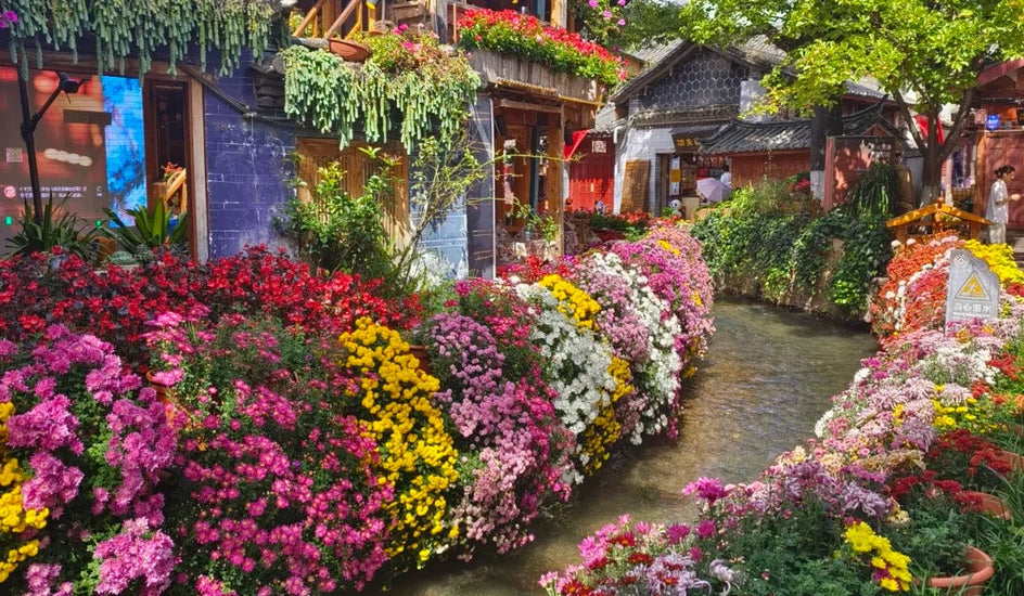 8 Days Kunming Dali Lijiang Shangri-La Tour