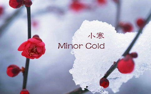 China's 24 Solar Terms: Minor Cold