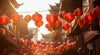 Spring Festival: The Soul Festival of China