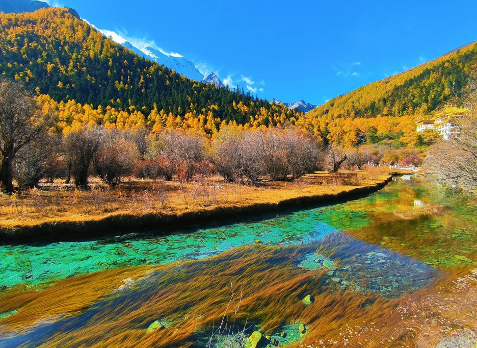 Sichuan Autumn Tours