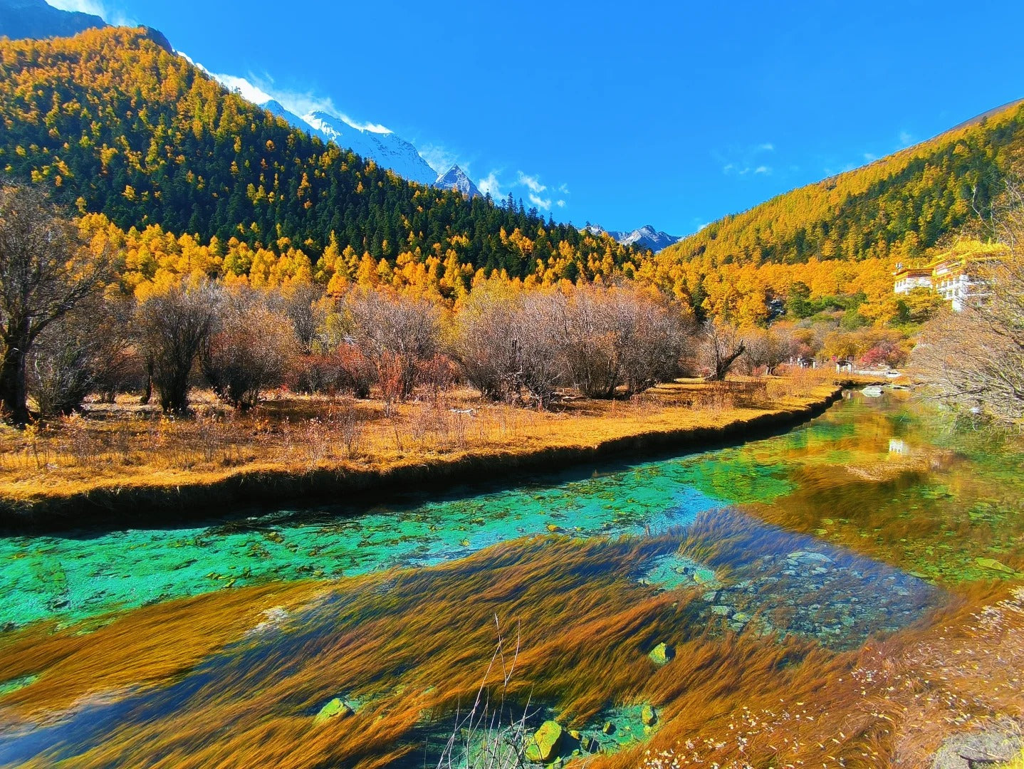 Daocheng