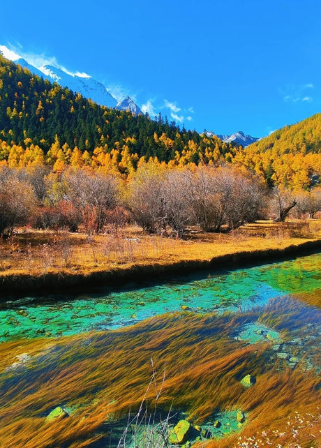 Sichuan Autumn Tours