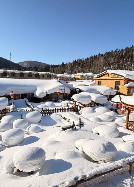 Harbin Nature Tours