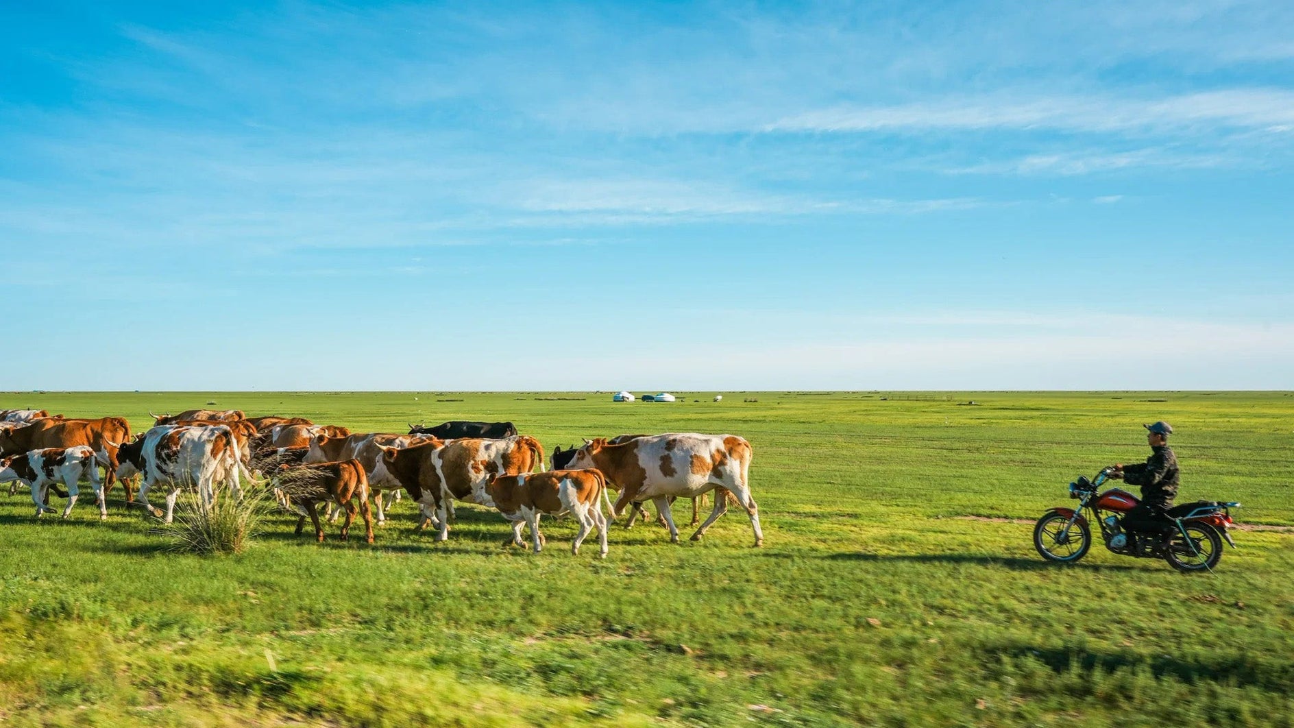 Inner Mongolia