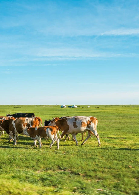 Hulunbuir Hiking Tours
