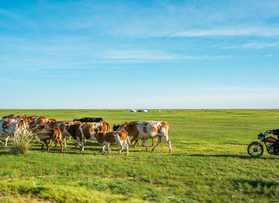 Hulunbuir Hiking Tours