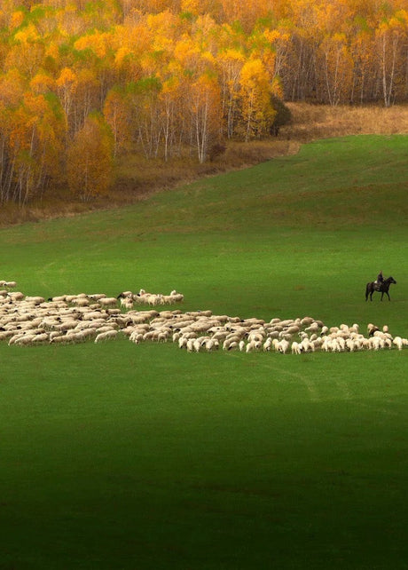 Hulunbuir