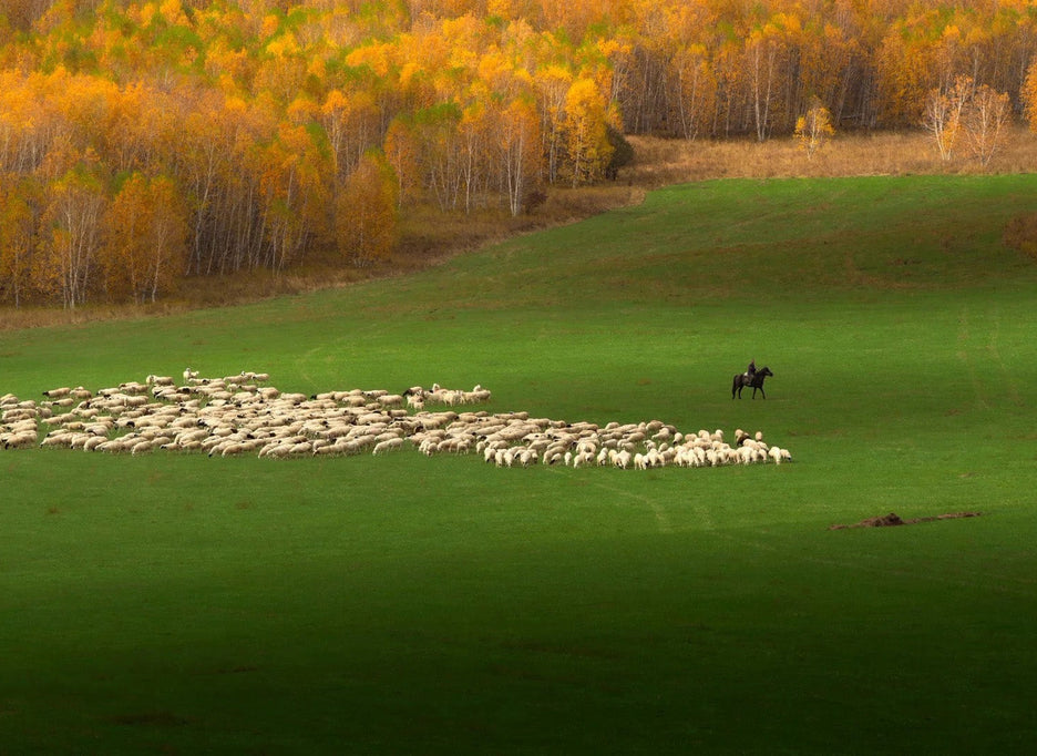 Hulunbuir