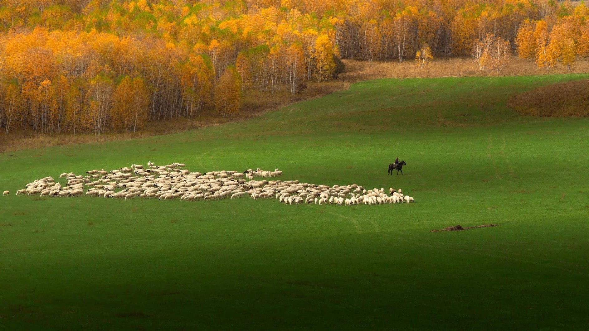 Hulunbuir