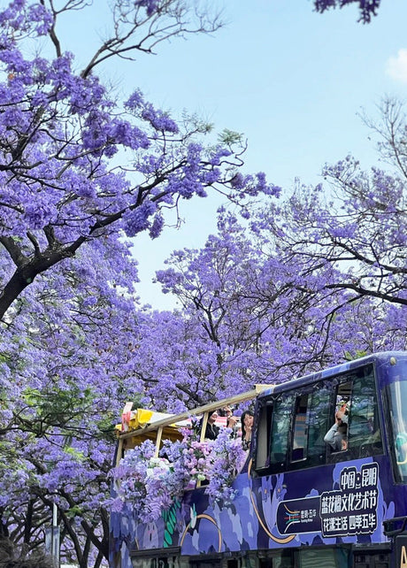 Yunnan Spring Tours