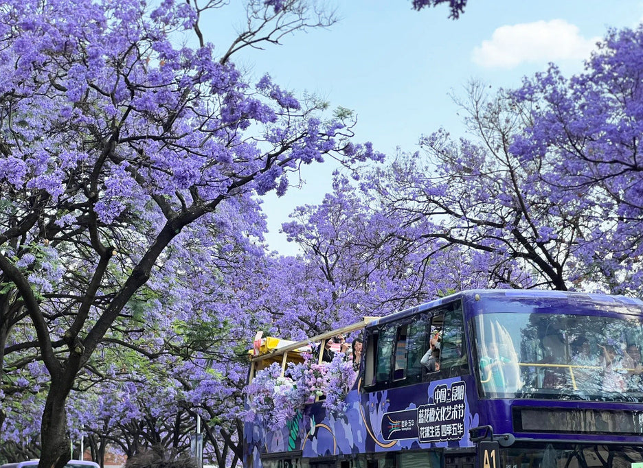 Yunnan Spring Tours