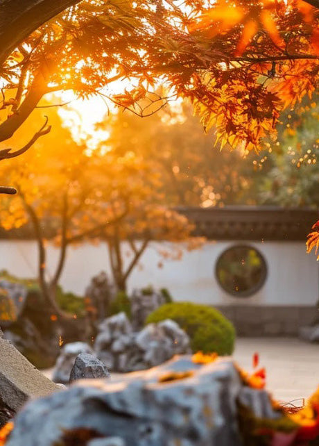 Suzhou/Hangzhou Autumn Tours
