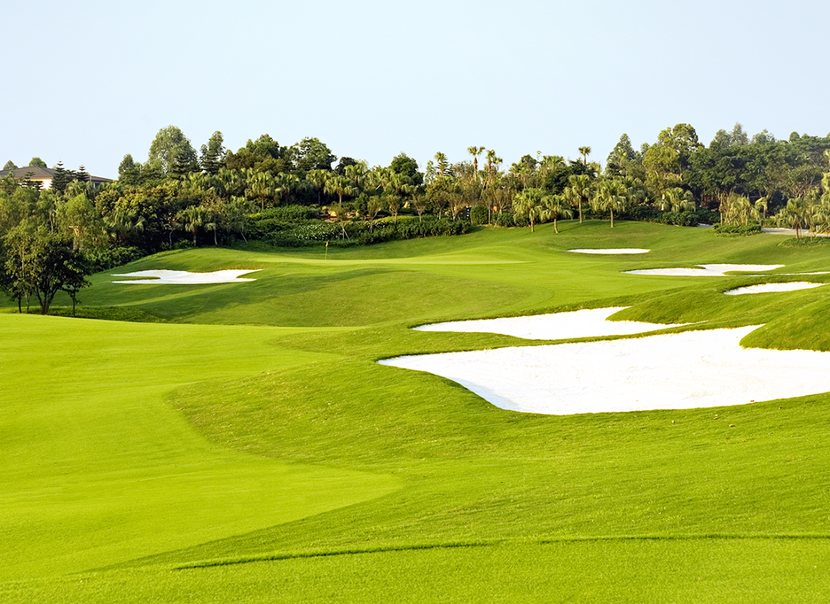 Shenzhen Golf Tours