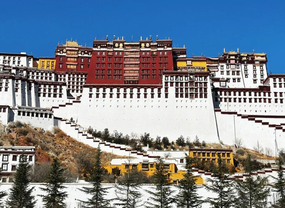 Tibet Summer Tours
