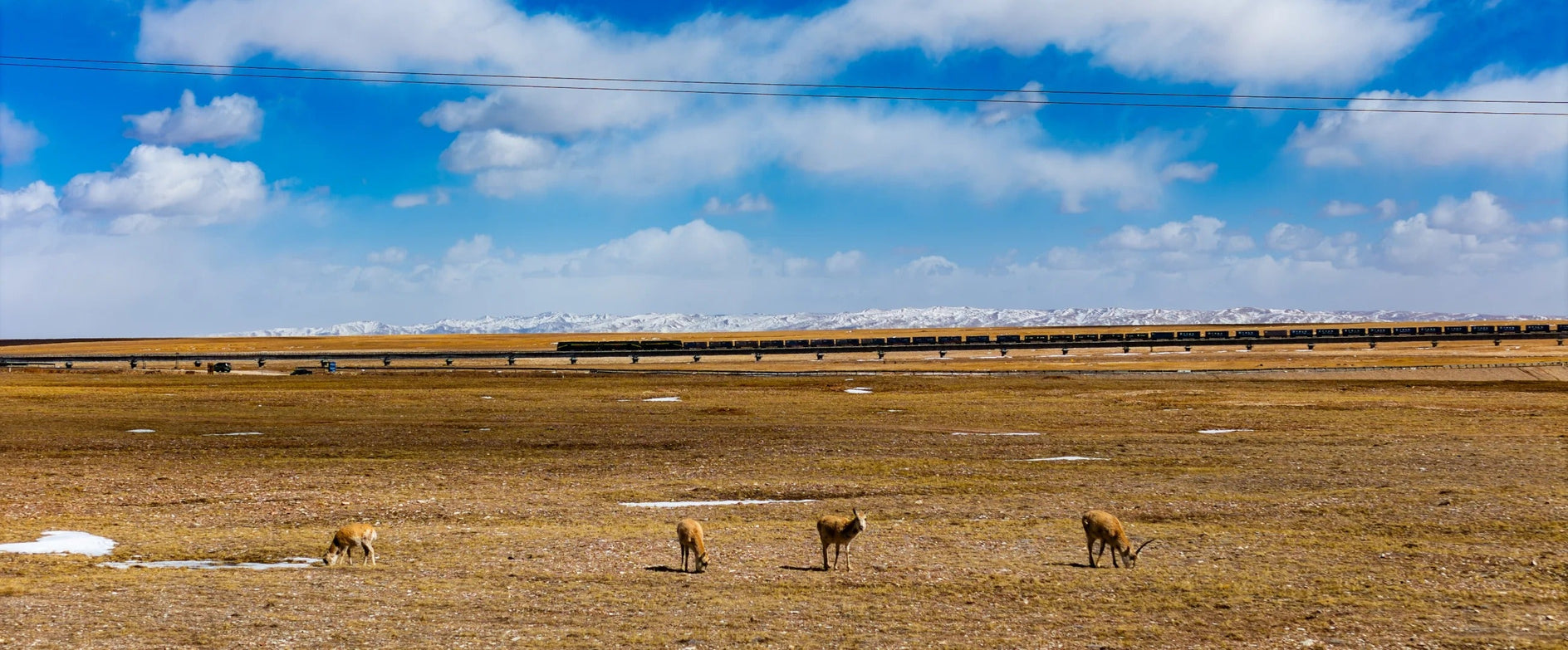 Qinghai