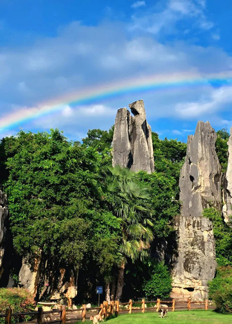 Yunnan Day Tours