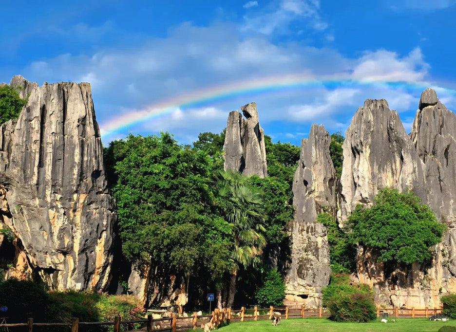 Yunnan Day Tours
