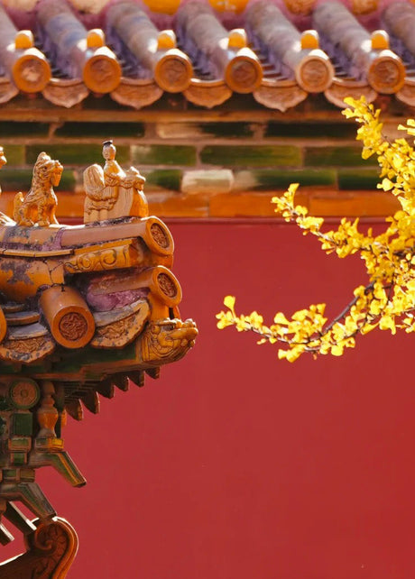 Beijing Autumn Tours