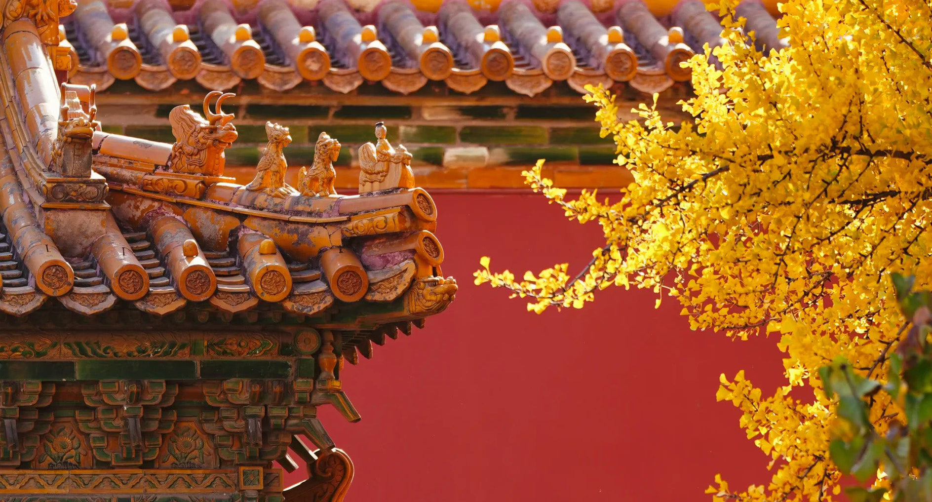 China Autumn Tours
