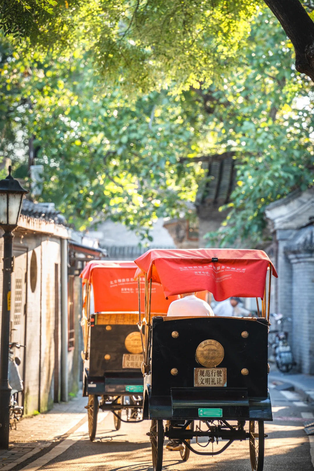 17 Days Beijing Shanghai Suzhou Wuzhen Lijiang Tour