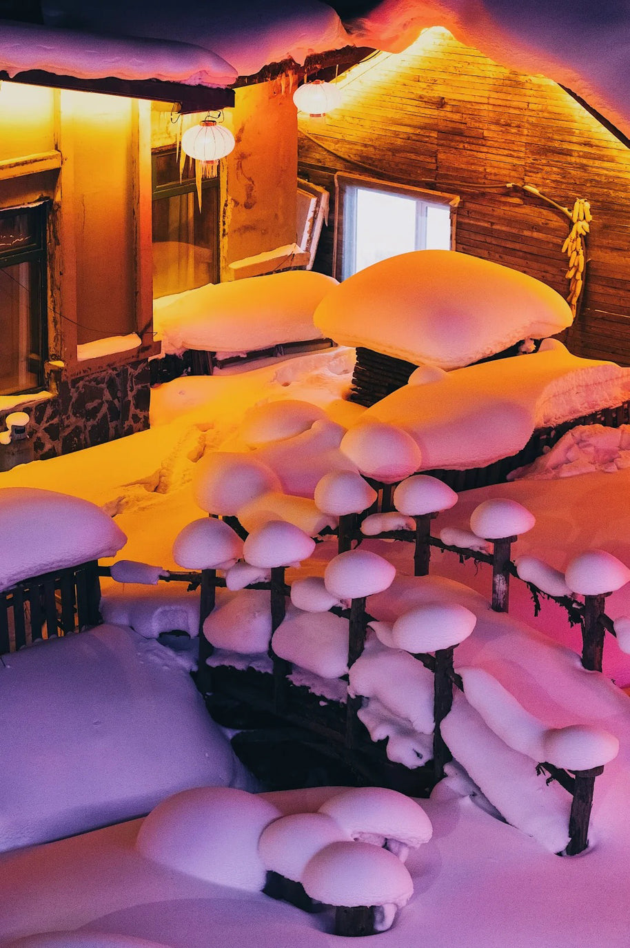 7 Days Harbin Ice and Snow Festival Winter Tour