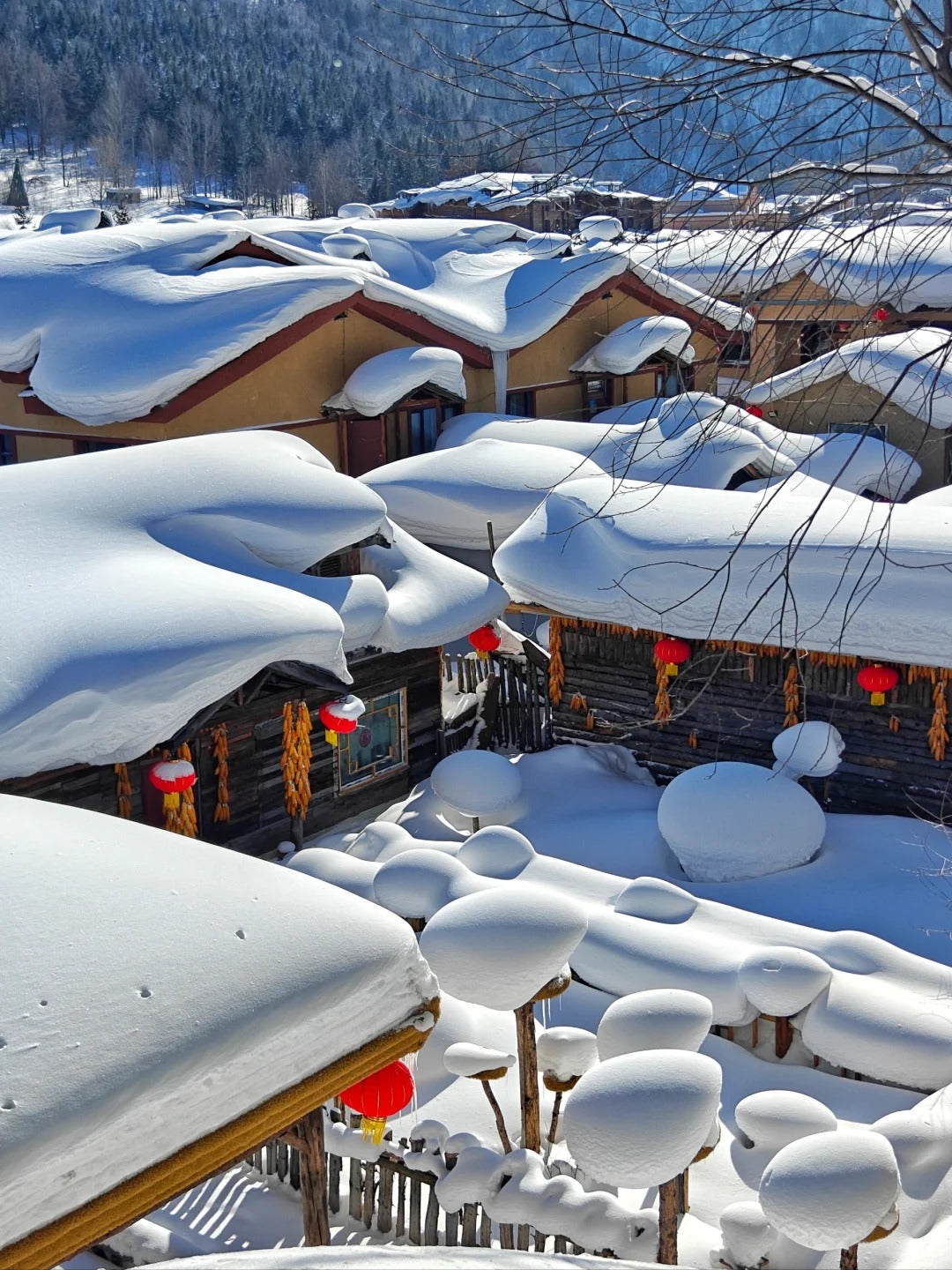7 Days Harbin Ice and Snow Festival Winter Tour