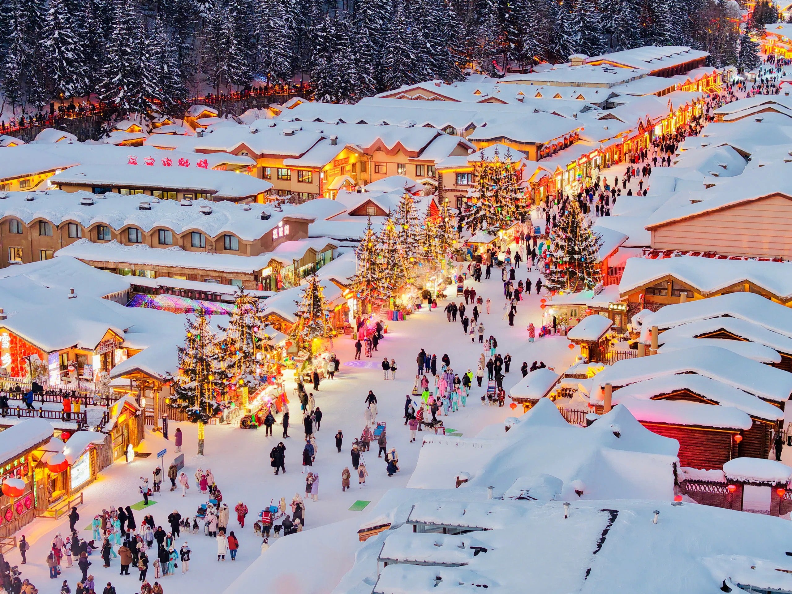 7 Days Harbin Ice and Snow Festival Winter Tour