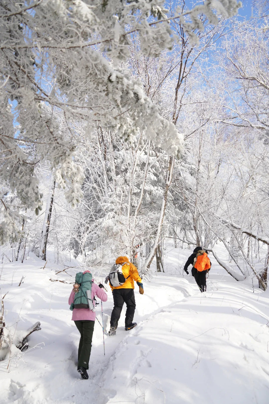 7 Days Harbin Ice and Snow Festival Winter Tour
