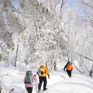 7 Days Harbin Ice and Snow Festival Winter Tour