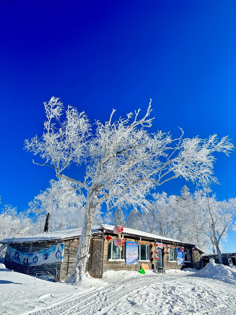 7 Days Harbin Ice and Snow Festival Winter Tour