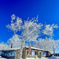 7 Days Harbin Ice and Snow Festival Winter Tour
