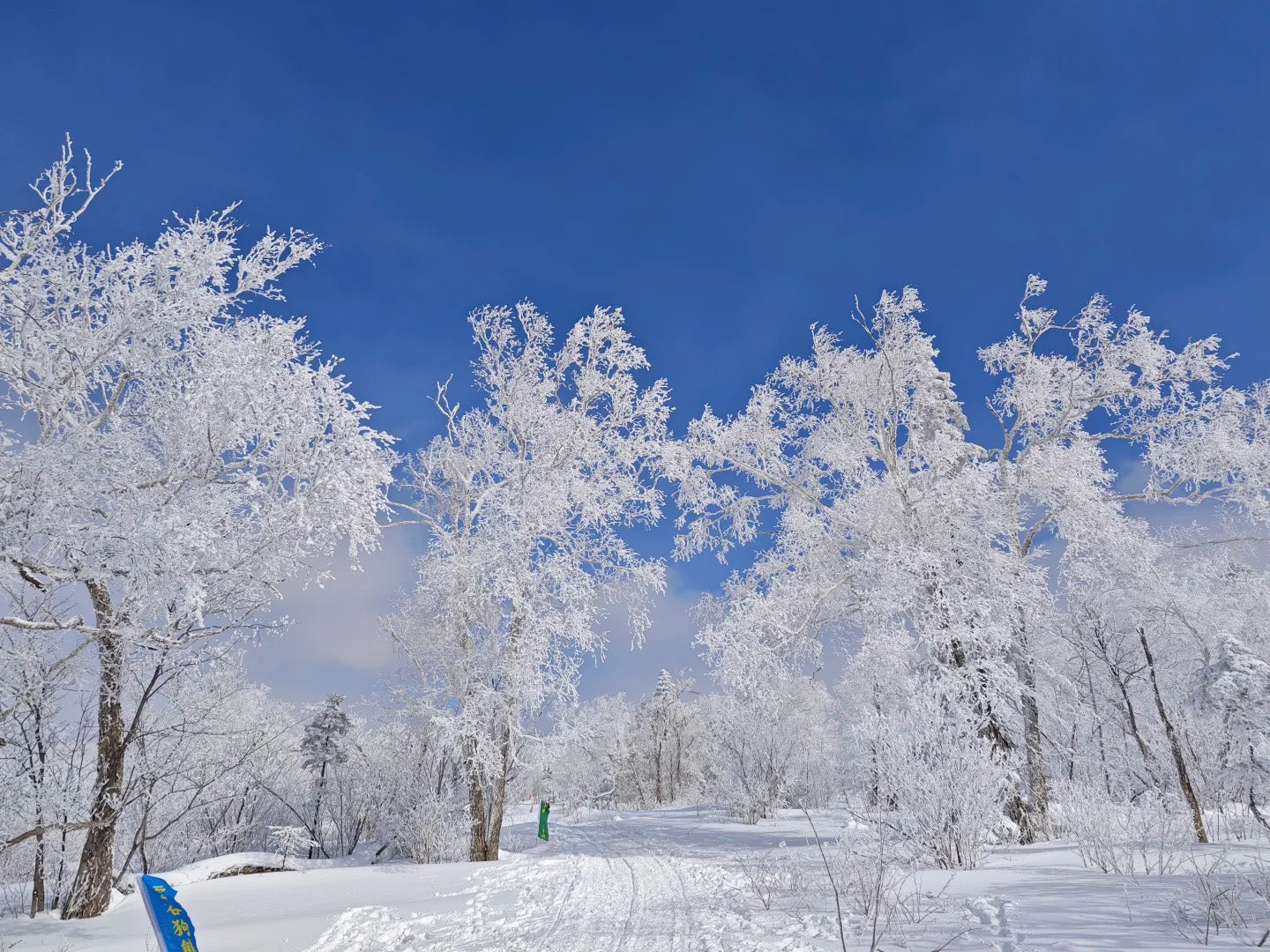 7 Days Harbin Ice and Snow Festival Winter Tour