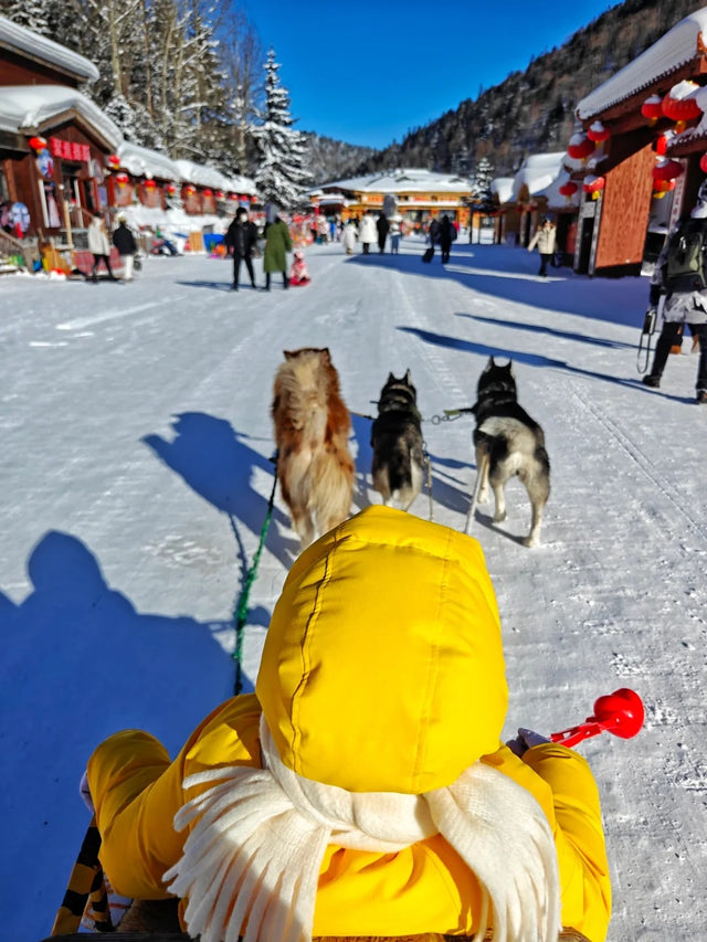 7 Days Harbin Winter Tour