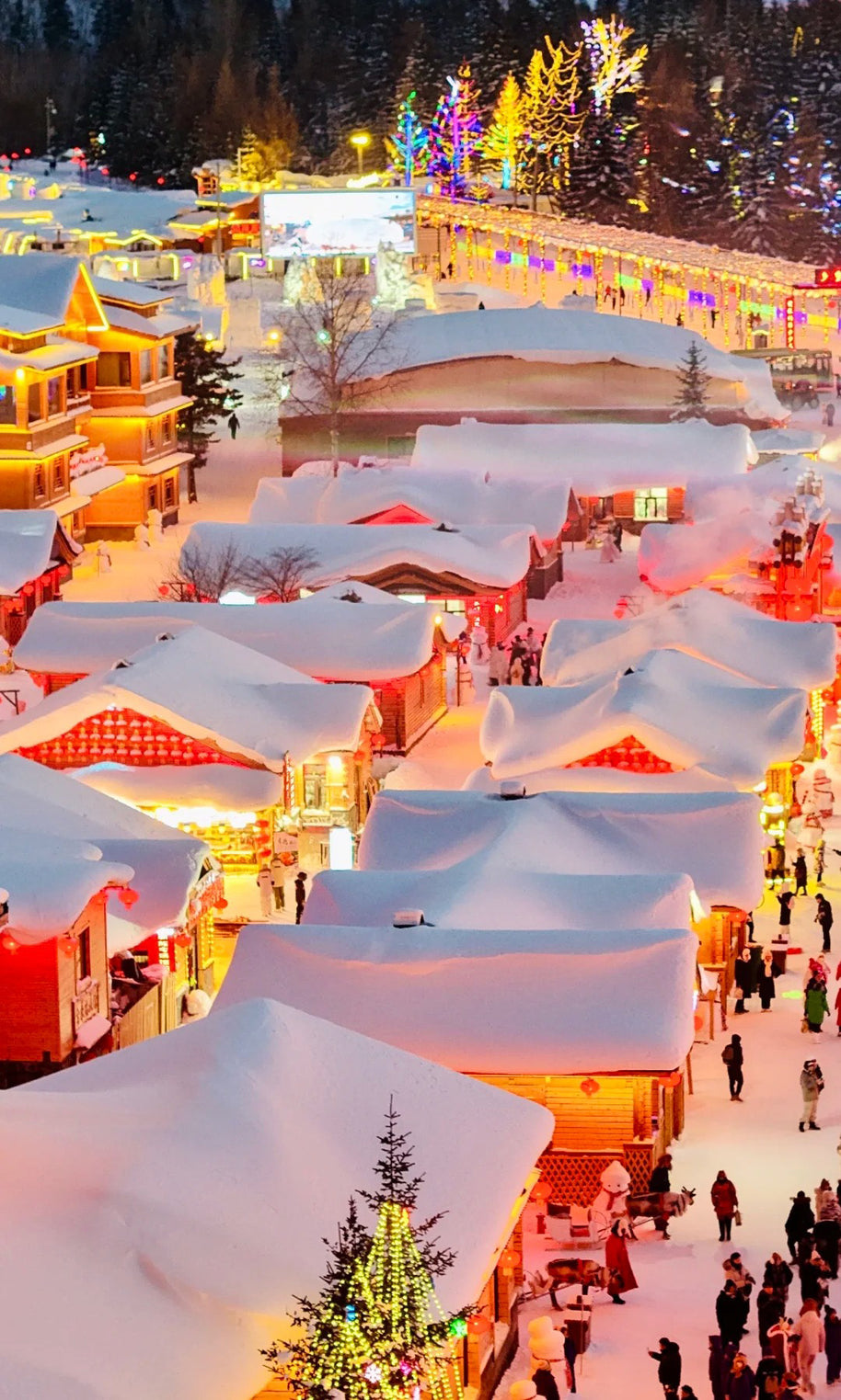 7 Days Harbin Ice and Snow Festival Winter Tour