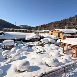 7 Days Harbin Ice and Snow Festival Winter Tour