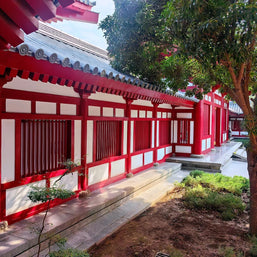 5 Days Xi'an Tour