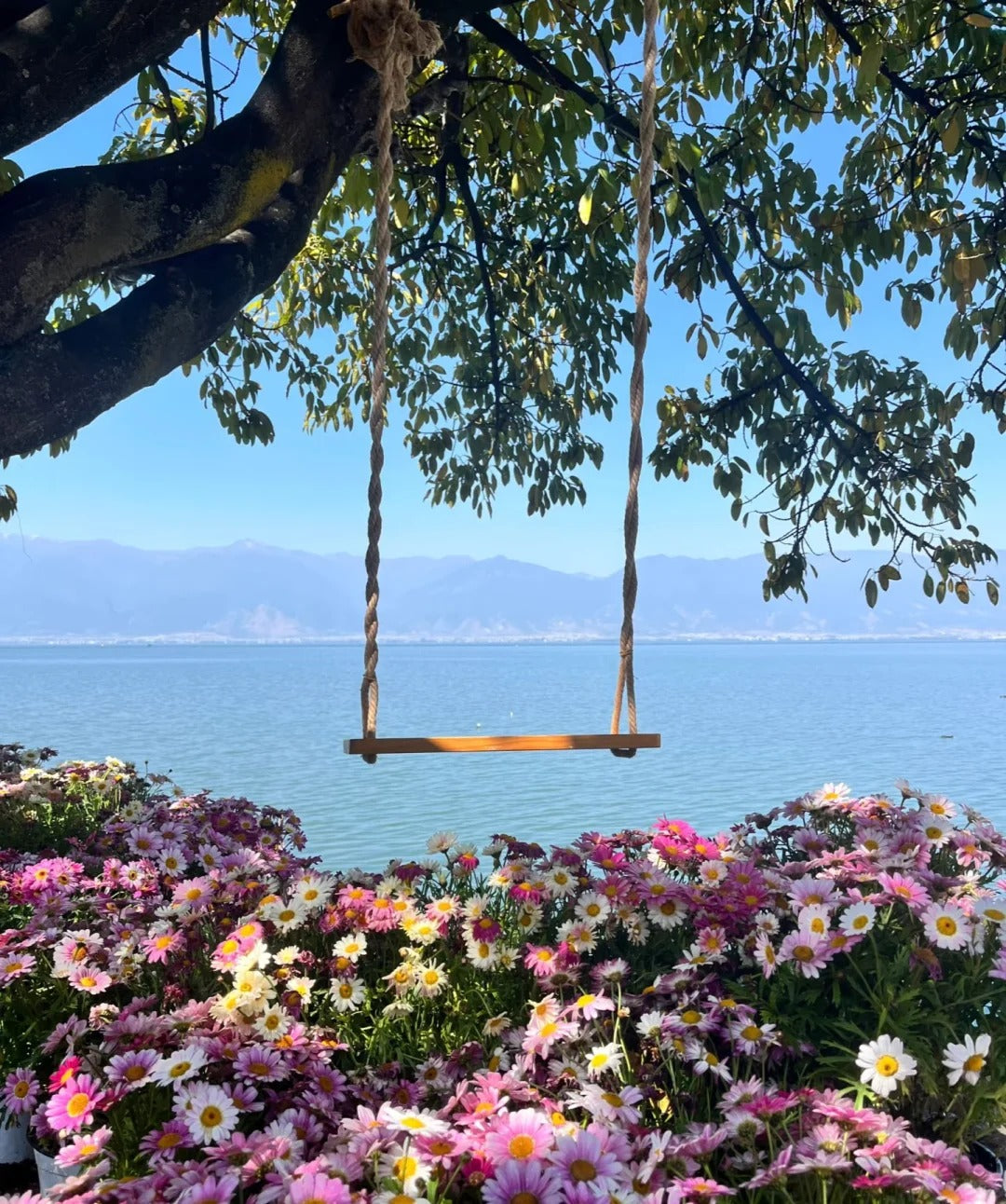 6 Days Lijiang Dali Muslim Tour (from and to Lijiang)