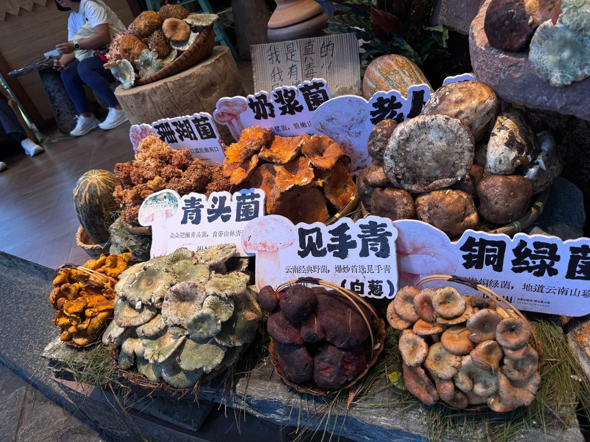 8 Days Lijiang Dali Shangri-La Lugu Lake Muslim Tour (Line B Dali Santorini)