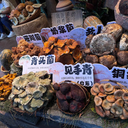 8 Days Lijiang Dali Shangri-La Lugu Lake Muslim Tour (Line B Dali Santorini)