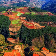 1 Day Dongchuan Red Land Tour