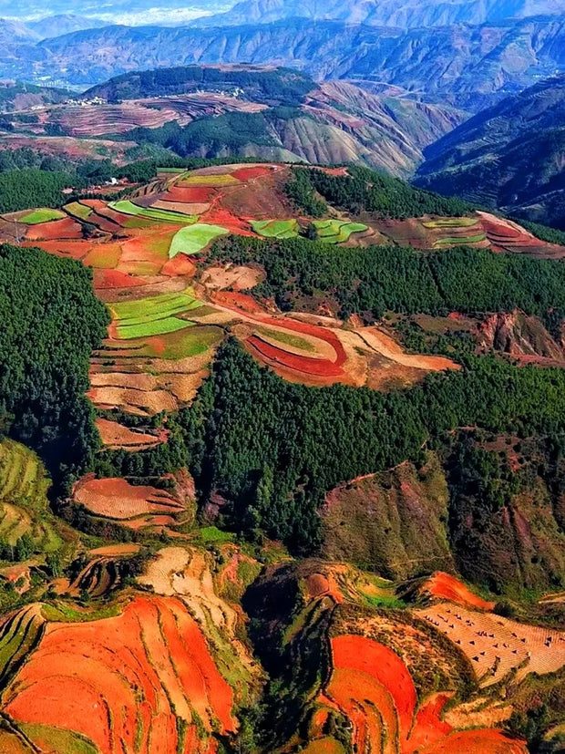 1 Day Dongchuan Red Land Tour