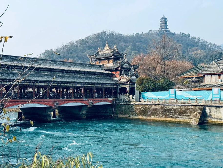 Tour de 5 días por Chengdu