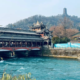 Tour de 5 días por Chengdu