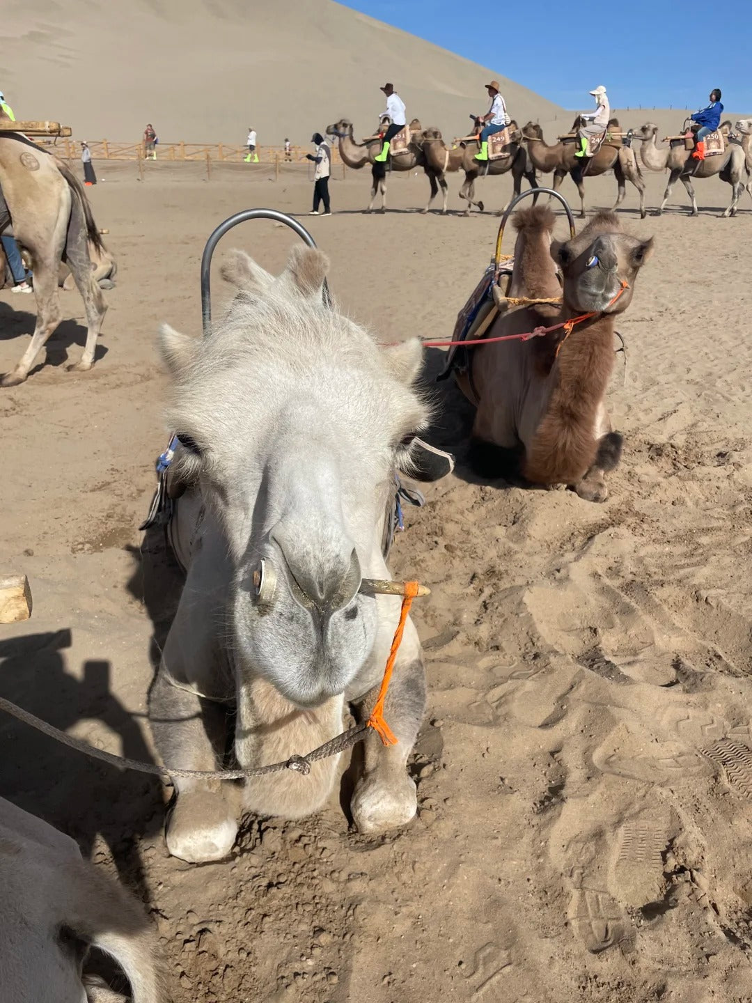 7 Days Gansu and Qinghai Tour