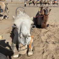 7 Days Gansu and Qinghai Tour