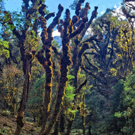 1 Day Gao Li Gong Mountain Hiking Tour