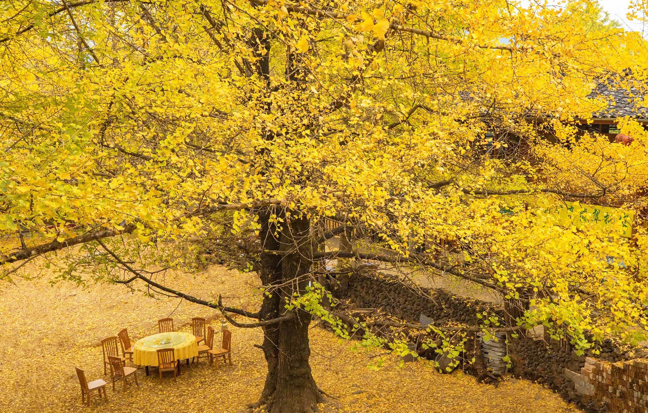 7 Days Shangri-La Nujiang Tengchong Tour