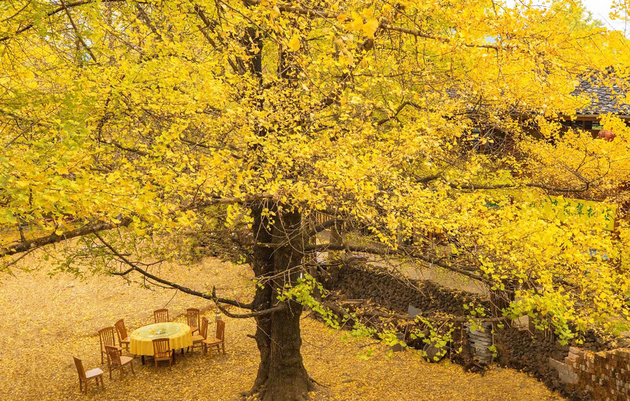 7 Days Shangri-La Nujiang Tengchong Tour